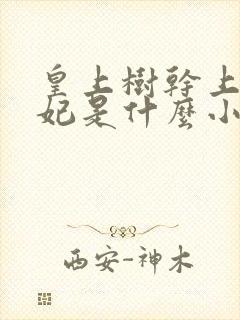 皇上树干上太子妃是什么小说