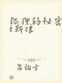 狐狸的秘密txt新浪