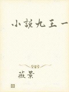 小说九王一后