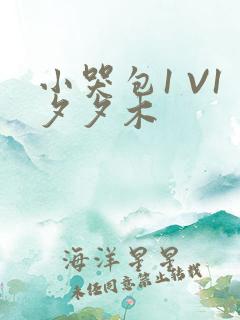 小哭包1 V1夕夕木