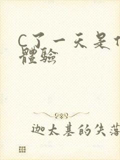C了一天是什么体验