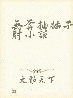 无套抽插子宫内射小说