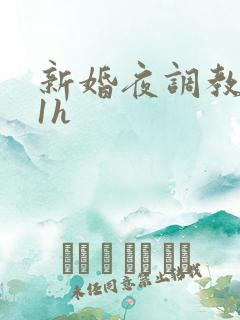 新婚夜调教1v1h