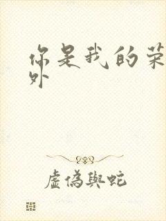 你是我的荣耀番外