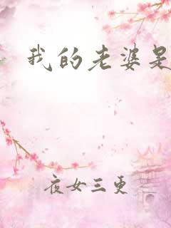 我的老婆是太妹