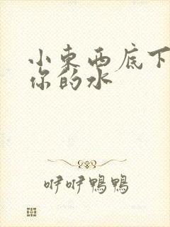 小东西底下都是你的水
