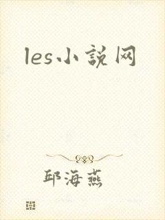 les小说网