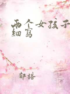 两个女孩子开车细写