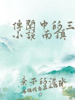 传闻中的三公主小说 南镇