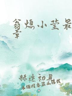 翁熄小莹最新节章