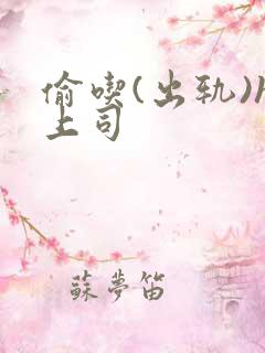 偷吃(出轨)h上司