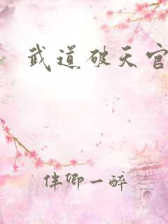 武道破天官网