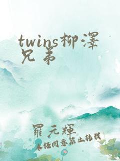 twins柳泽兄弟