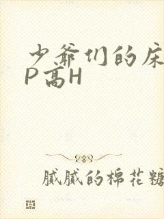 少爷们的床奴NP高H