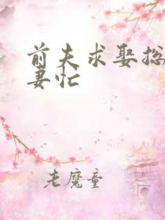 前夫求娶总裁追妻忙