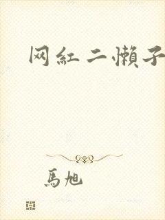 网红二懒子车祸