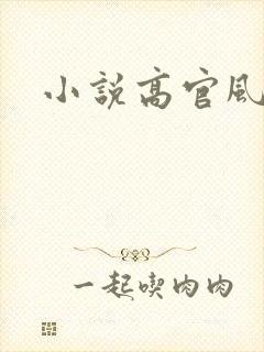小说高官风流