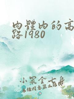 肉体内的高速公路1980
