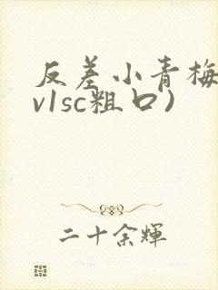 反差小青梅(1v1sc粗口)