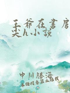 王爷在书房含乳尖h小说