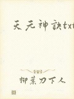 天元神诀txt