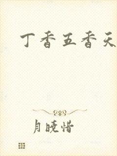 丁香五香天麻豆