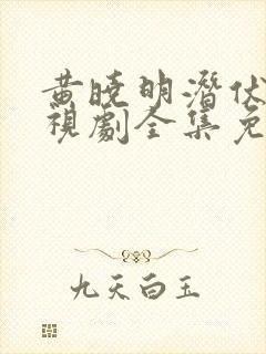 黄晓明潜伏者电视剧全集免费观看