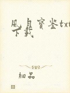 风月宝鉴txt下载