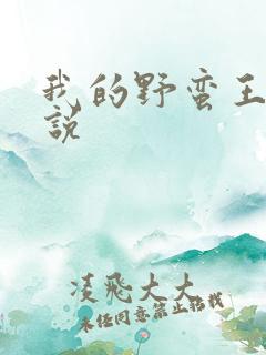 我的野蛮王妃小说