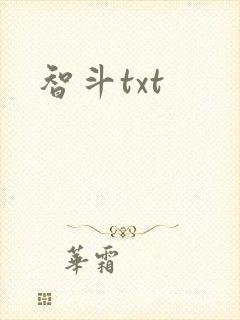智斗txt