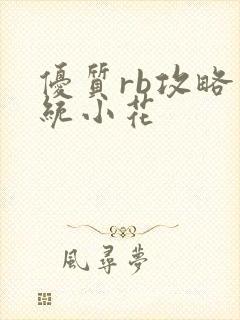 优质rb攻略系统小花