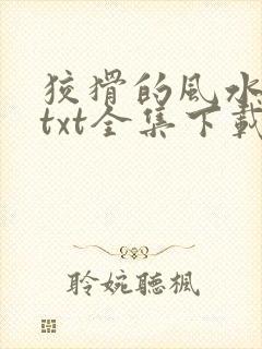 狡猾的风水相师txt全集下载