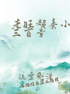 老旺超秦小雨第三百章