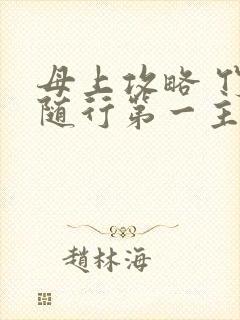 母上攻略 竹影随行第一主板