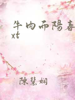 牛肉面阳春面txt