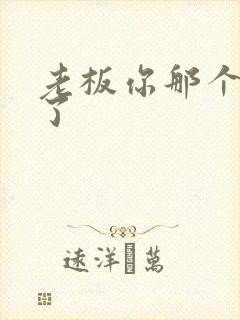 老板你那个太长了