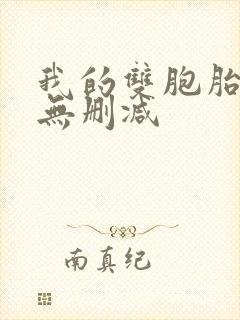 我的双胞胎老婆无删减