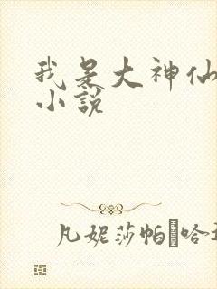 我是大神仙时江小说