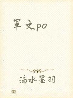 军文po