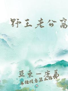 野王老公窝