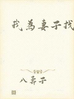 我为妻子找男妓