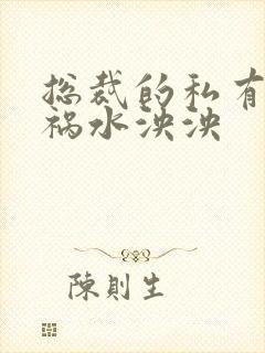 总裁的私有宝贝祸水泱泱