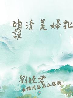 明清美妇牝户小说