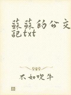 苏苏的公交车日记txt