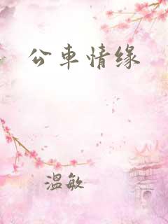 公车情缘