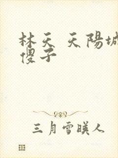 林天 天阳城 傻子