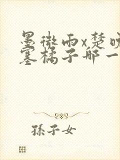 墨微雨x楚晚宁塞橘子哪一章