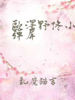 欧泽野佟小曼无弹屏