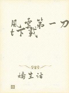 风云第一刀txt下载