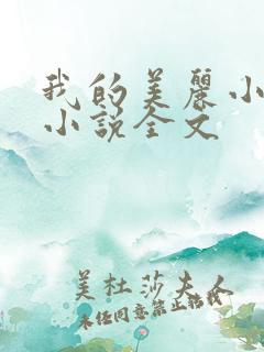 我的美丽小后妈小说全文